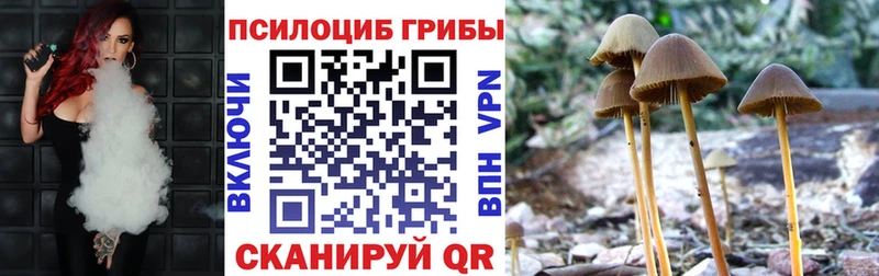 Галлюциногенные грибы мицелий  Киров 